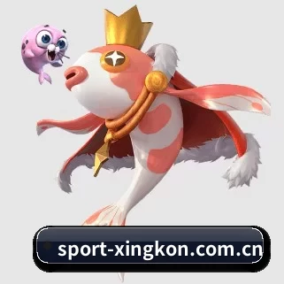 sport-xingkon.com.cn APP - xingkong