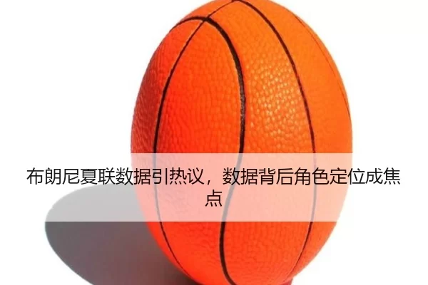 布朗尼夏联数据引热议，数据背后角色定位成焦点